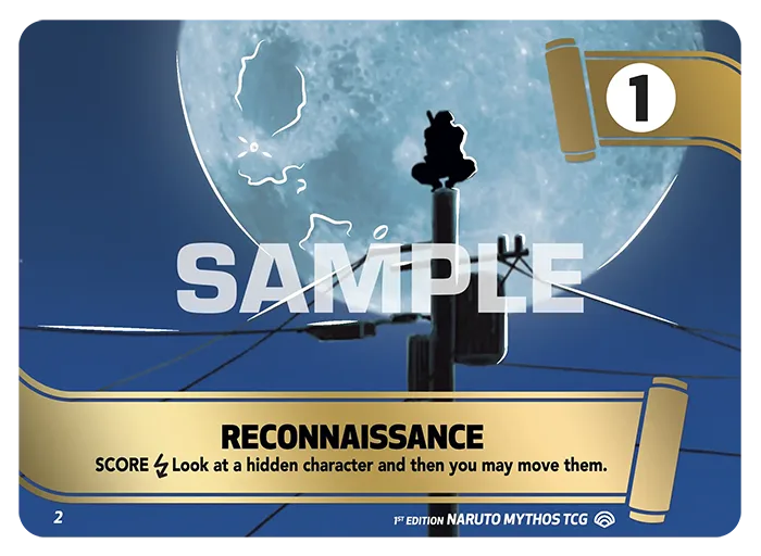 Reconnaissance