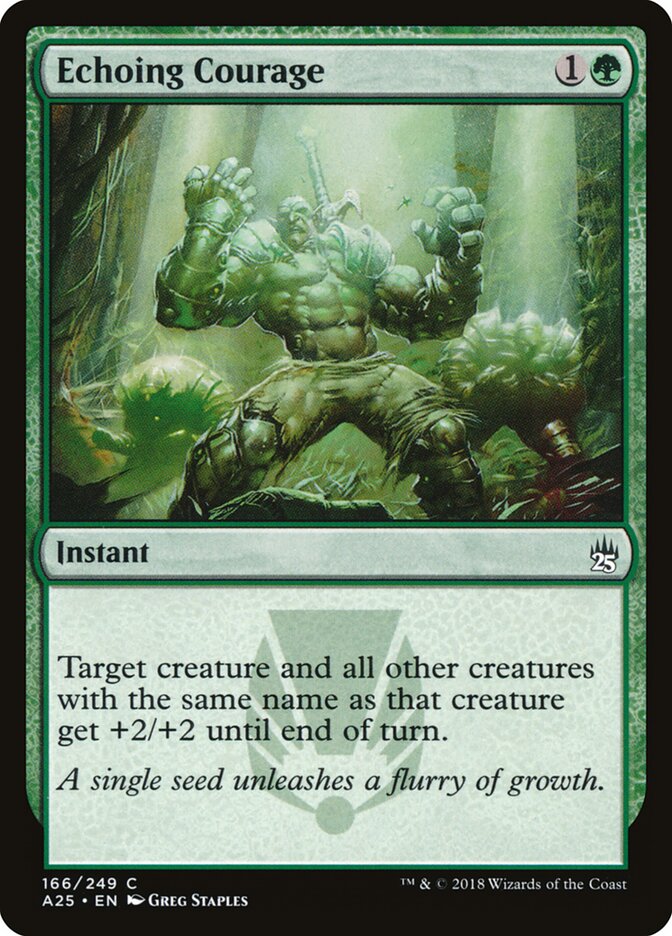 Echoing Courage — Masters 25 166/249