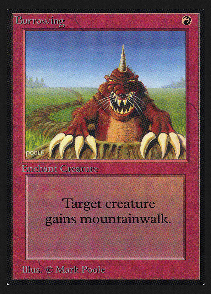 Burrowing — Intl. Collectors' Edition 139/302