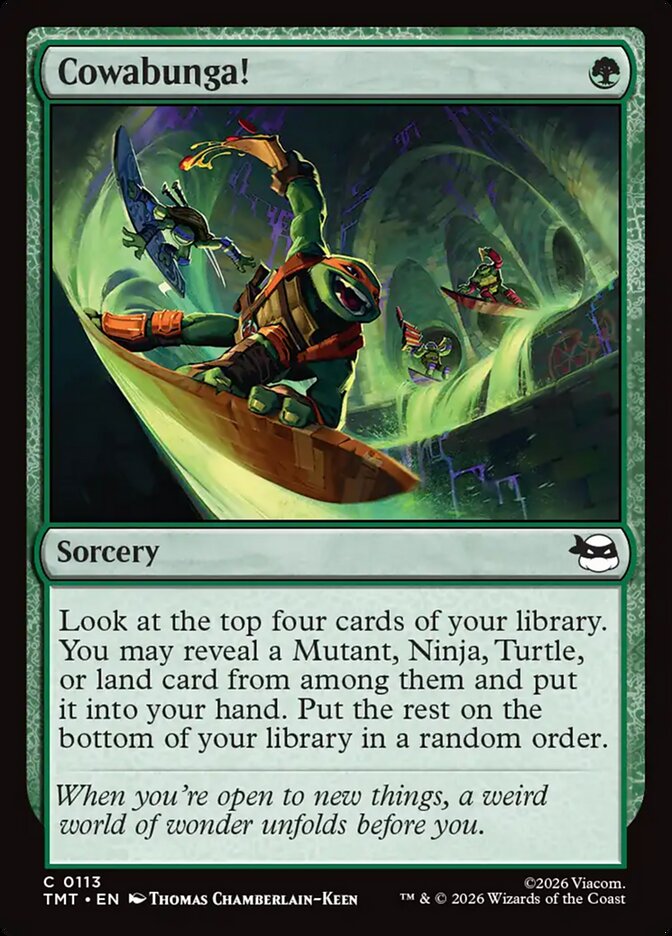 Cowabunga! — Teenage Mutant Ninja Turtles 113/320