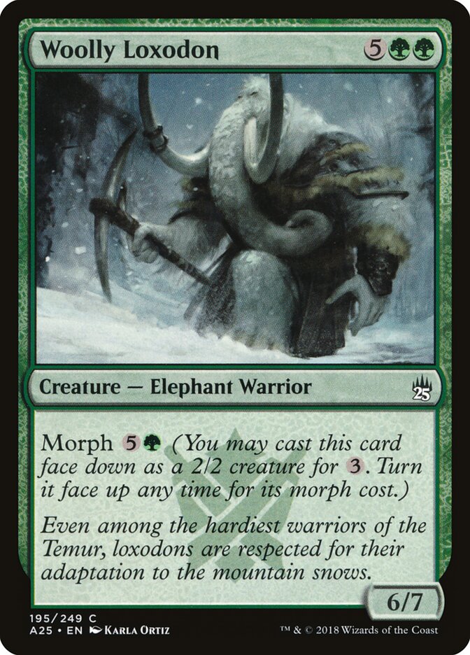 Woolly Loxodon — Masters 25 195/249