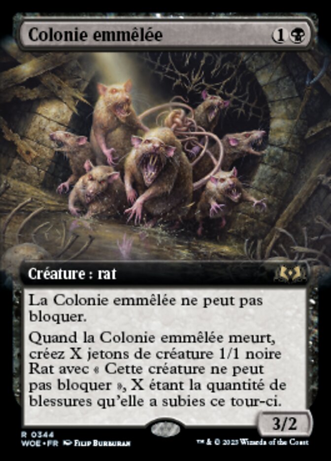 Colonie emmêlée — Wilds of Eldraine 344/381
