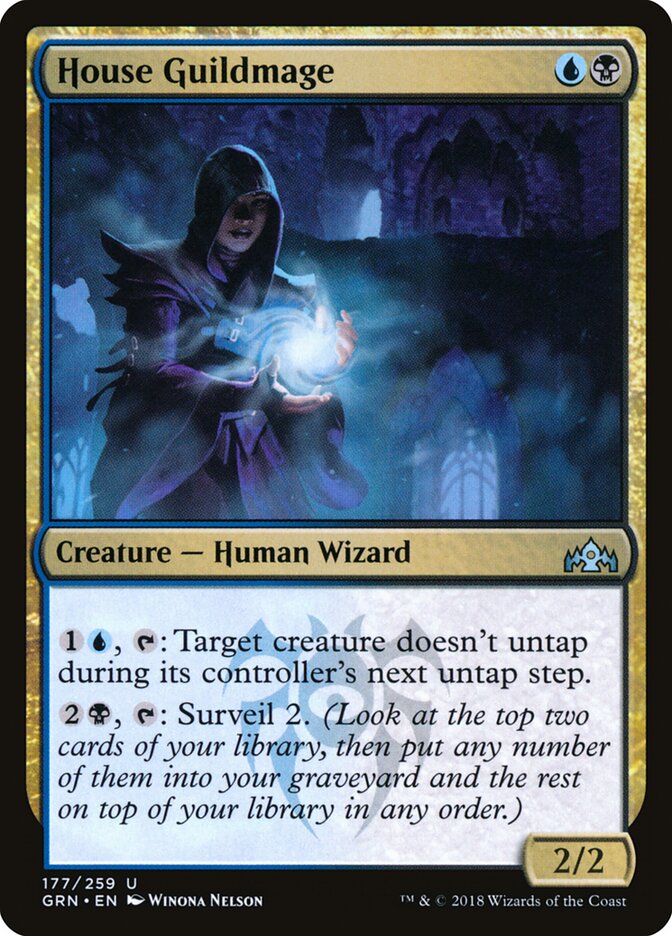 House Guildmage — Guilds of Ravnica 177/273