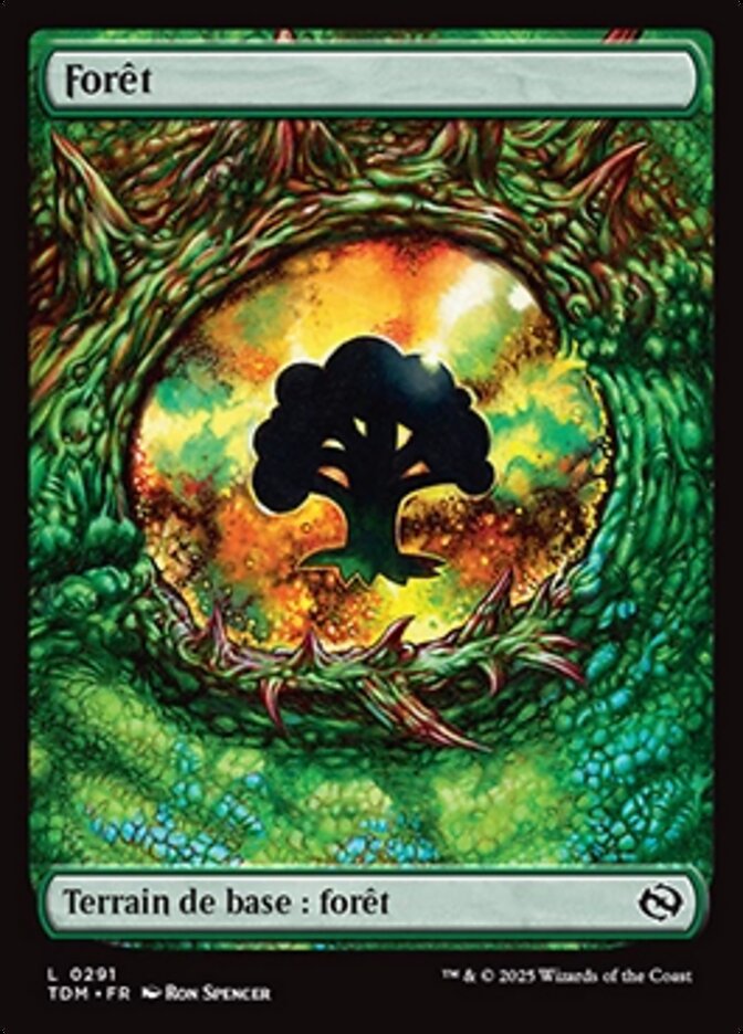 Forêt — Tarkir: Dragonstorm 291/427