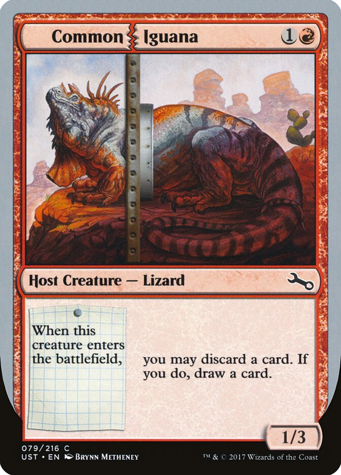 Common Iguana — Unstable 79/268