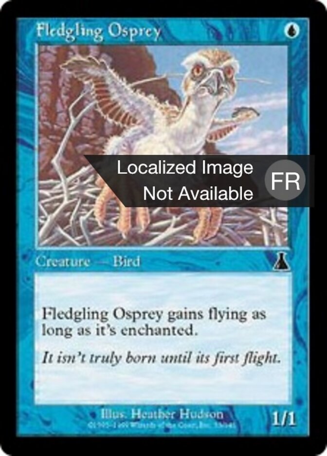 Oisillon Balbuzard — Urza's Destiny 33/143