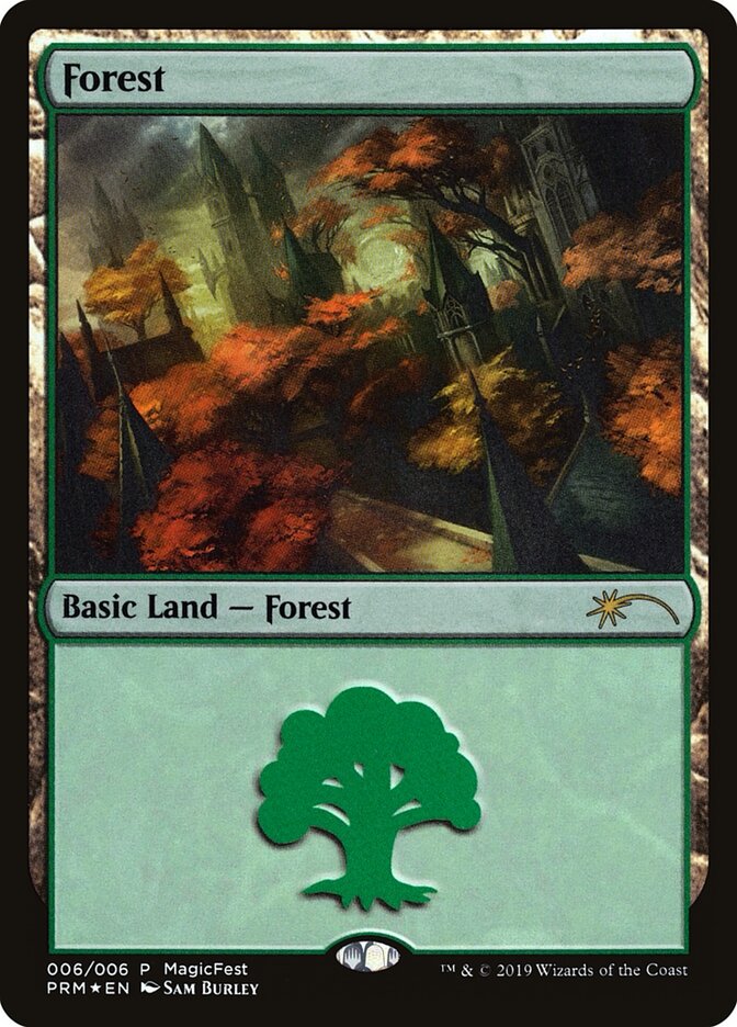 Forest — MagicFest 2019 6/7