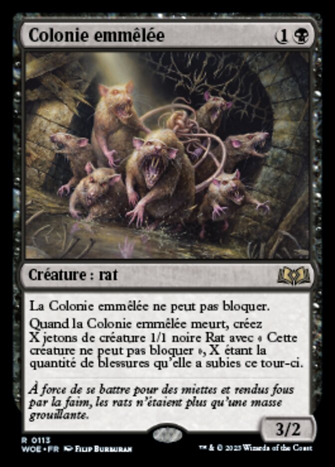 Colonie emmêlée — Wilds of Eldraine 113/381