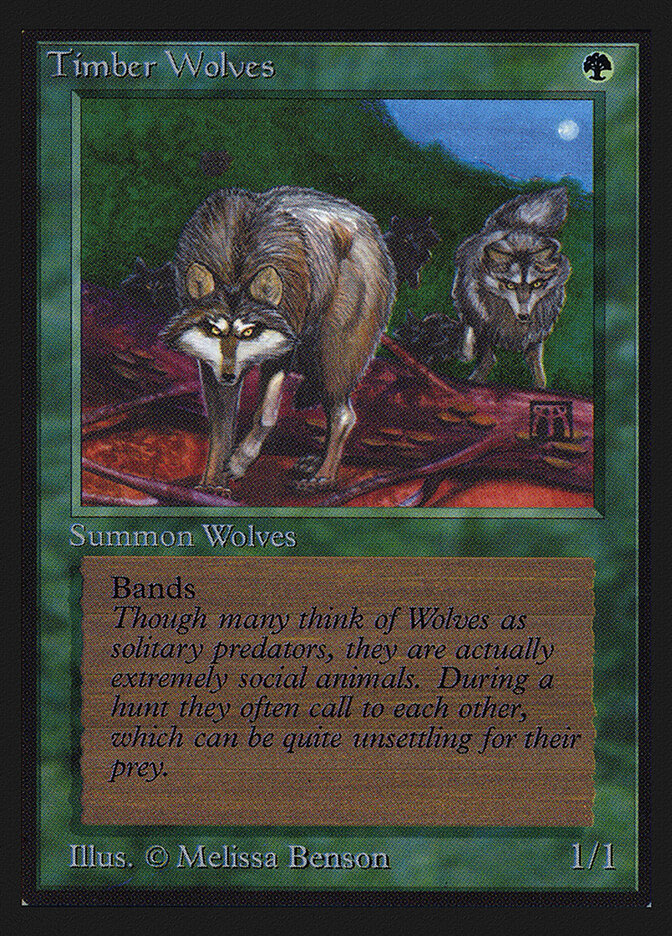 Timber Wolves — Intl. Collectors' Edition 220/302