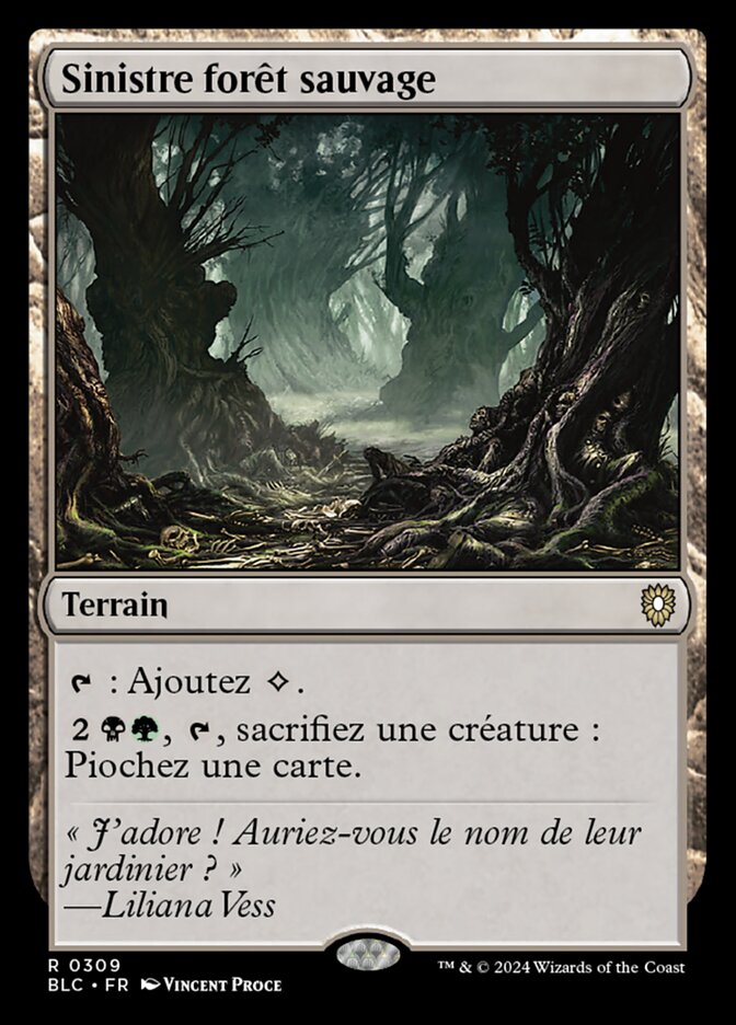 Sinistre forêt sauvage — Bloomburrow Commander 309/356