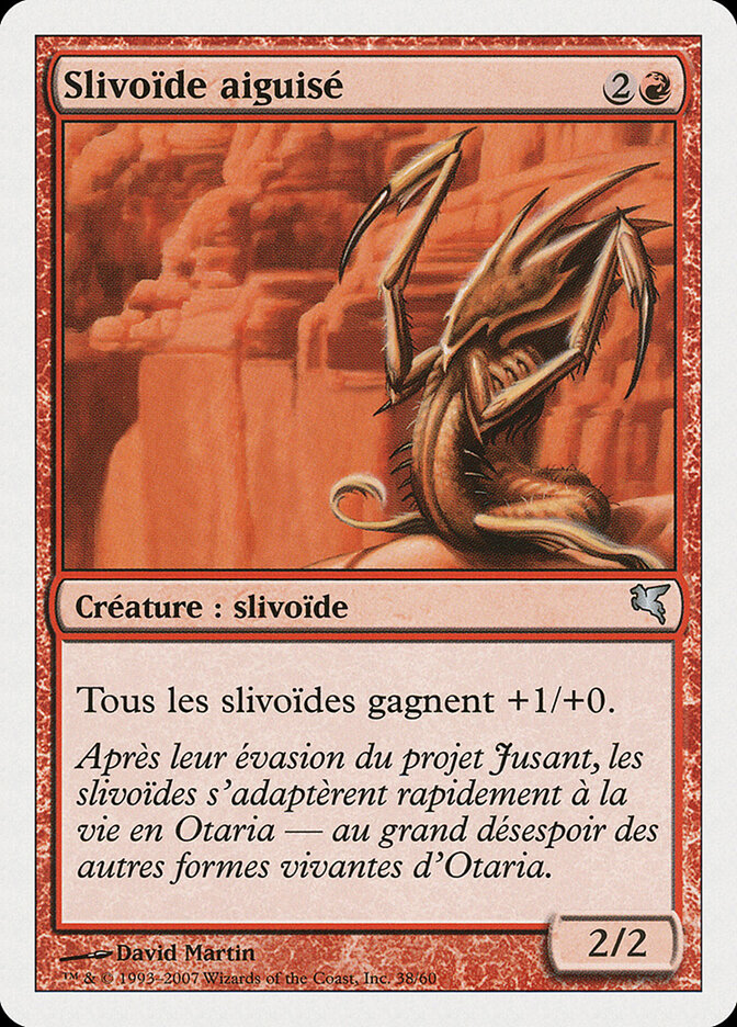 Slivoïde aiguisé — Salvat 2005 D38/720