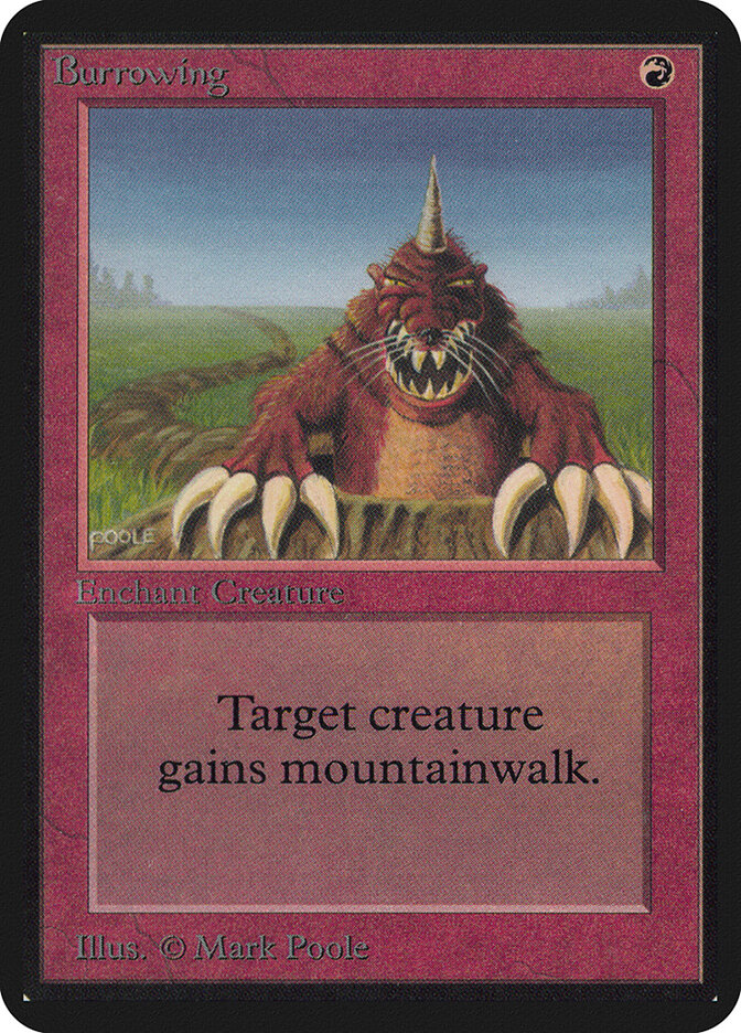 Burrowing — Limited Edition Alpha 138/295
