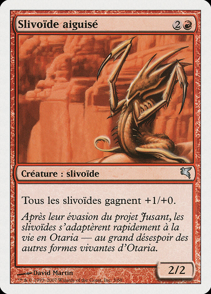 Slivoïde aiguisé — Salvat 2005 D3/720