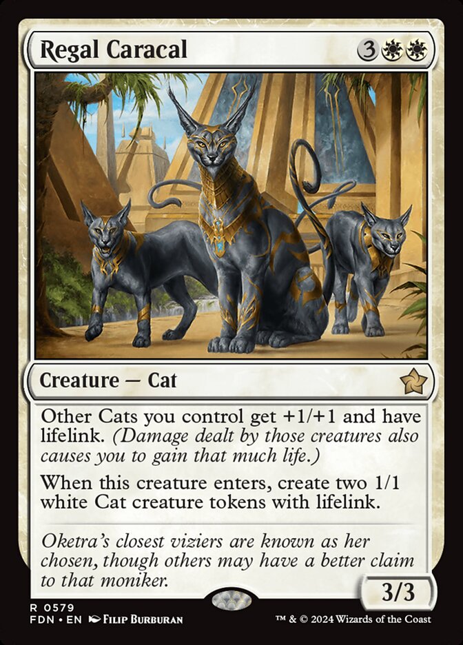 Regal Caracal — Foundations 579/771
