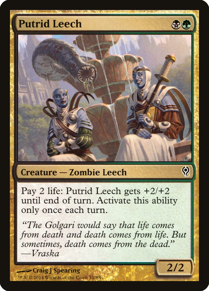 Putrid Leech — Duel Decks: Jace vs. Vraska 51/88