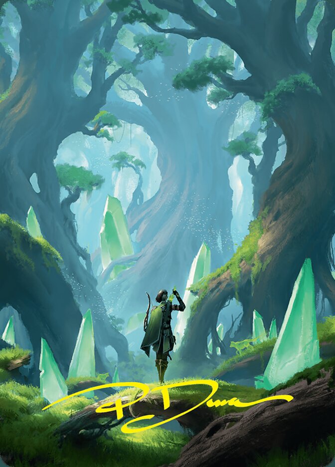 Forest // Forest — Foundations Art Series 25/55