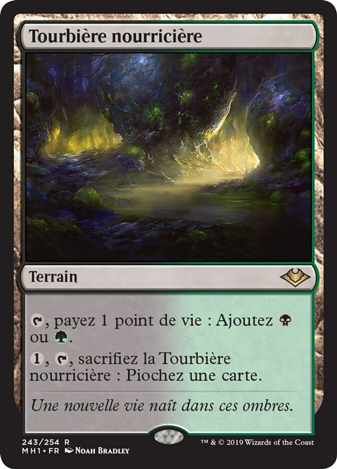 Tourbière nourricière — Modern Horizons 243/255