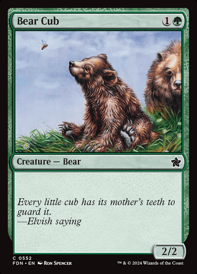 Bear Cub — Foundations 552/771
