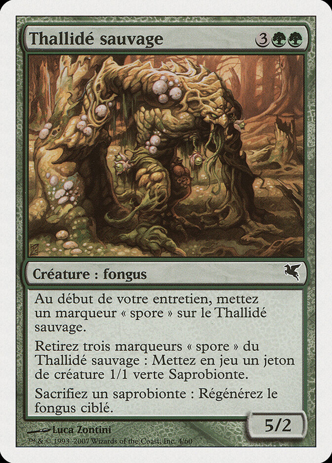 Thallidé sauvage — Salvat 2005 J4/720