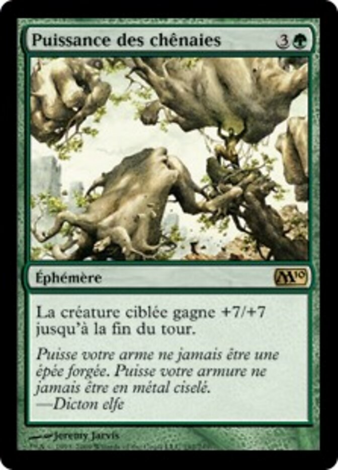 Puissance des chênaies — Magic 2010 192/249