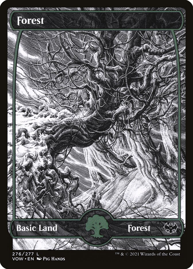 Forest — Innistrad: Crimson Vow 276/423