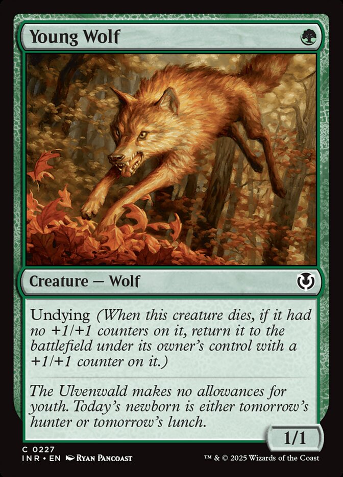 Young Wolf — Innistrad Remastered 227/495
