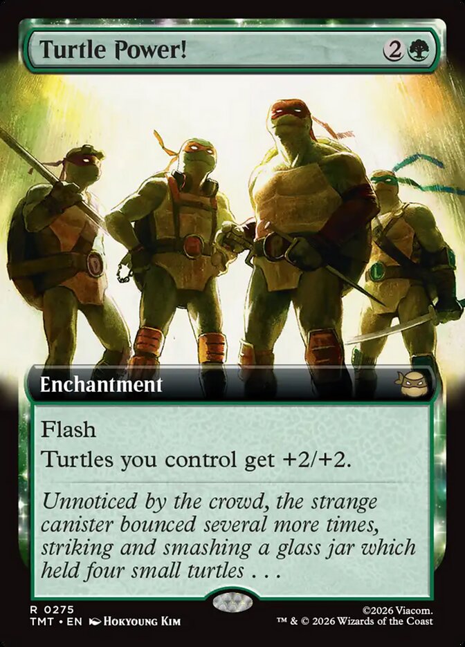 Turtle Power! — Teenage Mutant Ninja Turtles 275/320