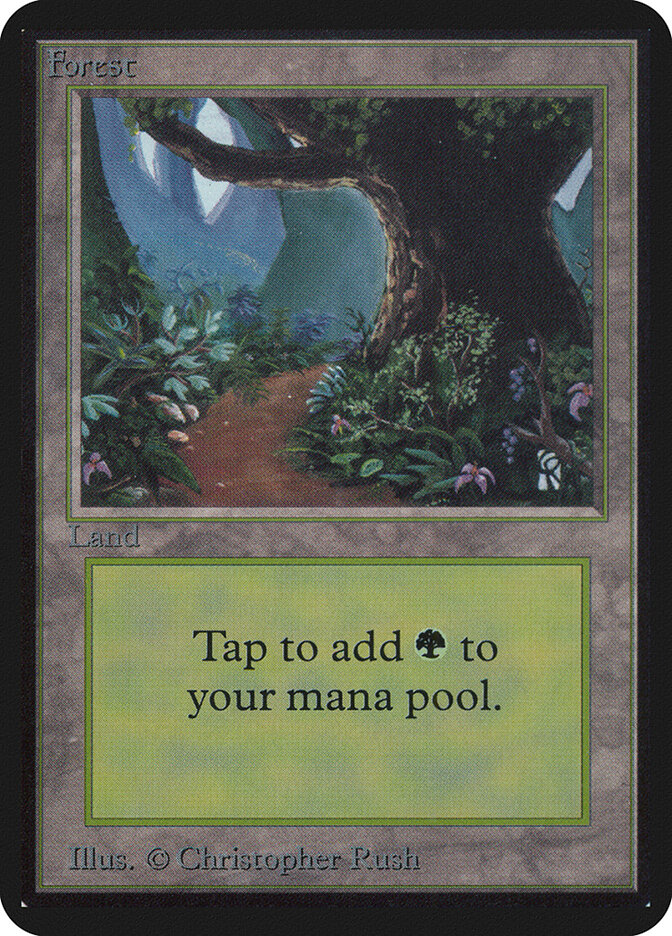 Forest — Limited Edition Alpha 295/295