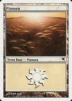 Plains