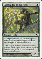 Treetop Scout