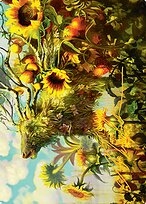 Beza, the Bounding Spring // Beza, the Bounding Spring