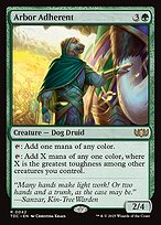 Arbor Adherent