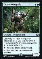 Tender Wildguide