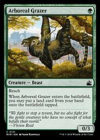Paisseur arboricole