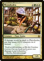 Phytohydre