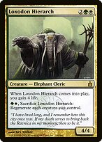 Hiérarche loxodon