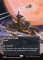 Petrified Field