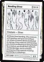 Banding Sliver