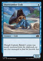 Shorecomber Crab