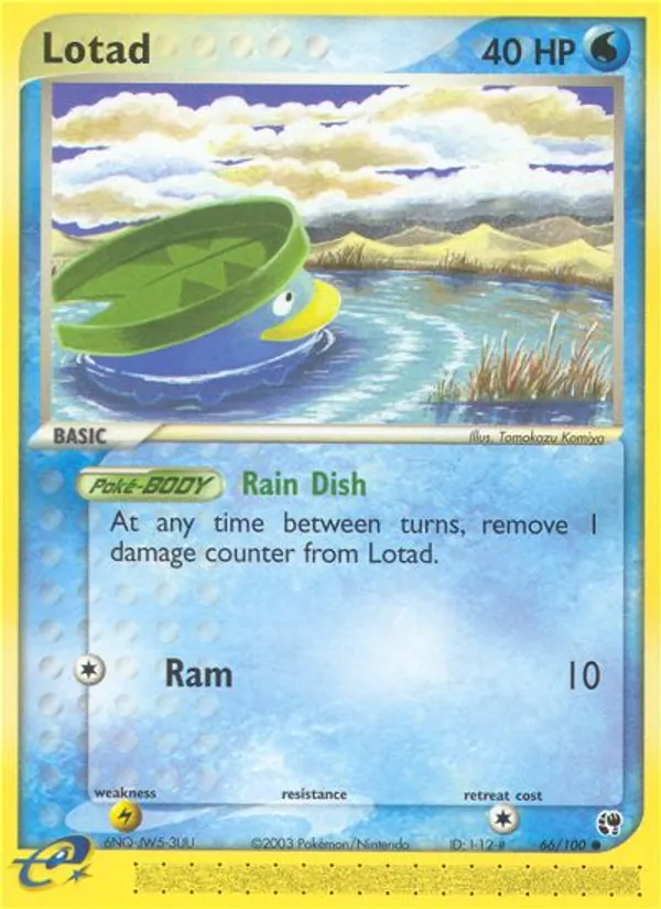 Lotad — Sandstorm 66/100