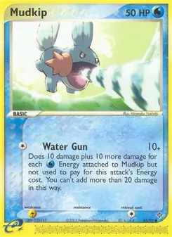 Mudkip