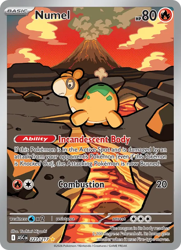 Numel — Ascended Heroes 223/217