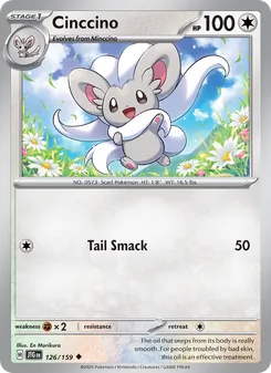 Cinccino