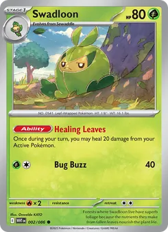 Swadloon