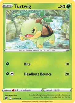 Tortipouss