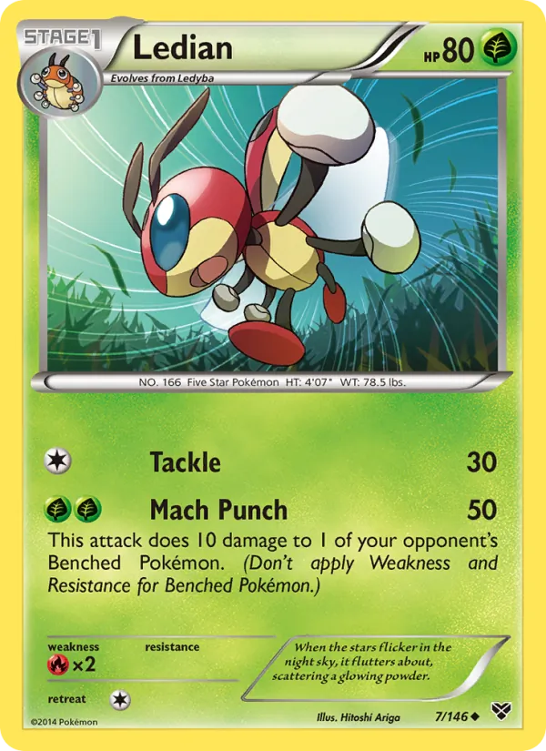 Ledian — XY 7/146