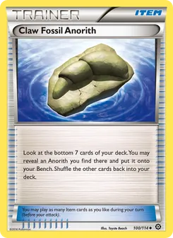 Fossile Griffe Anorith