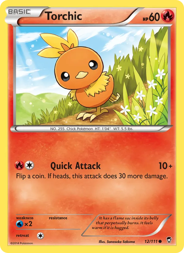 Torchic — Furious Fists 12/111