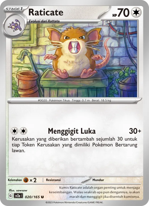 Raticate — Kartu Pokémon 151 020/165