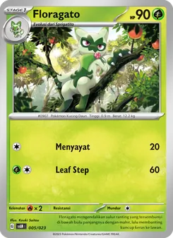 Floragato